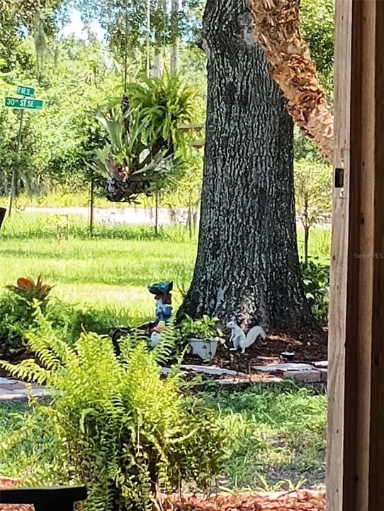 Active With Contract: $415,000 (2 beds, 2 baths, 1002 Square Feet)