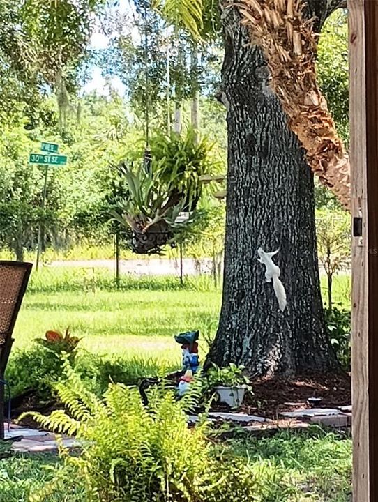 Active With Contract: $415,000 (2 beds, 2 baths, 1002 Square Feet)