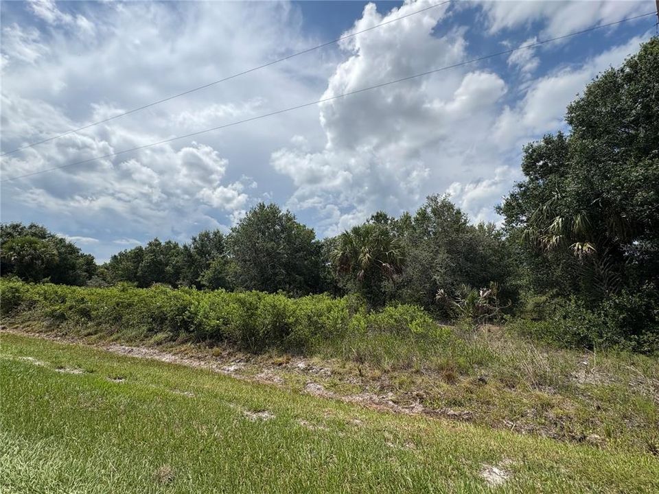 For Sale: $30,000 (1.25 acres)