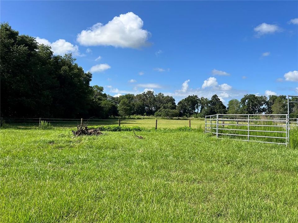 For Sale: $925,000 (10.00 acres)