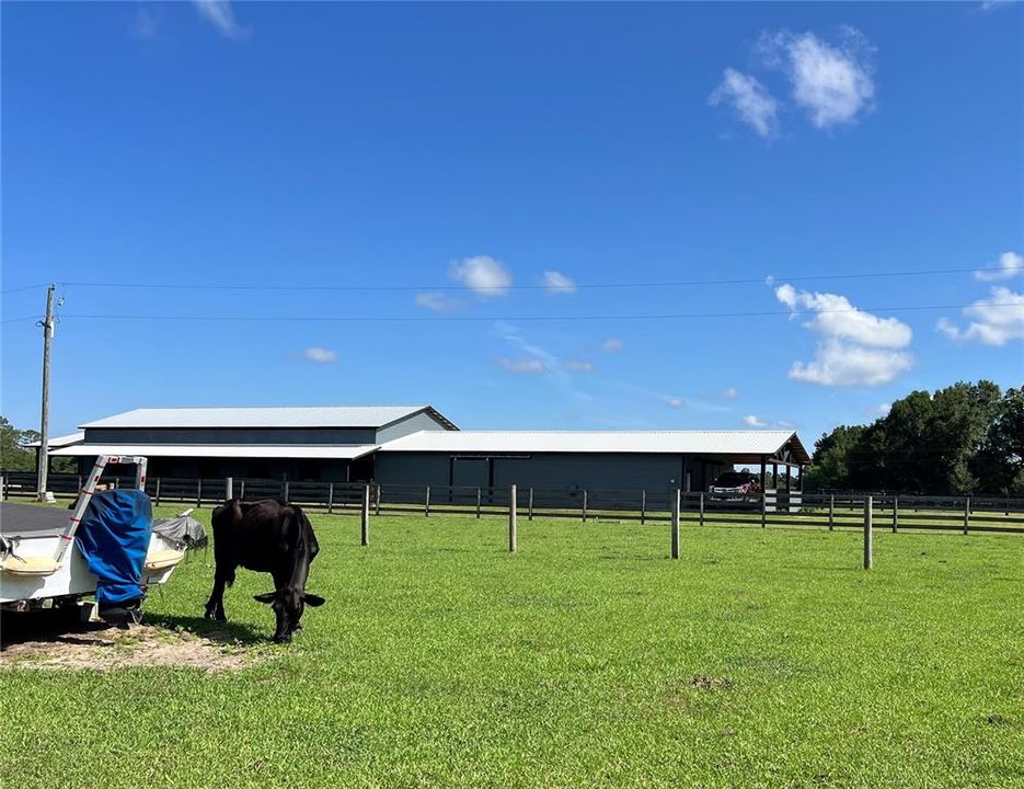 For Sale: $925,000 (10.00 acres)