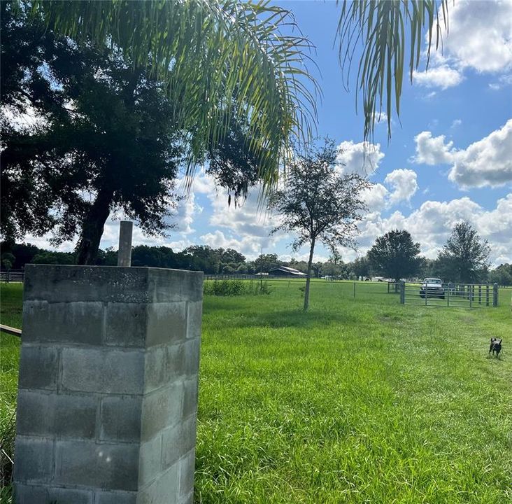 For Sale: $925,000 (10.00 acres)