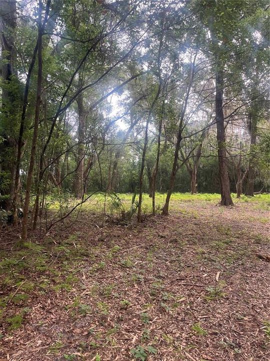 En Venta: $219,900 (2.50 acres)