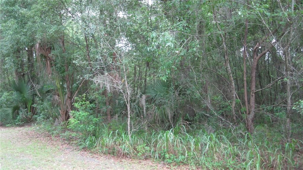 En Venta: $219,900 (2.50 acres)