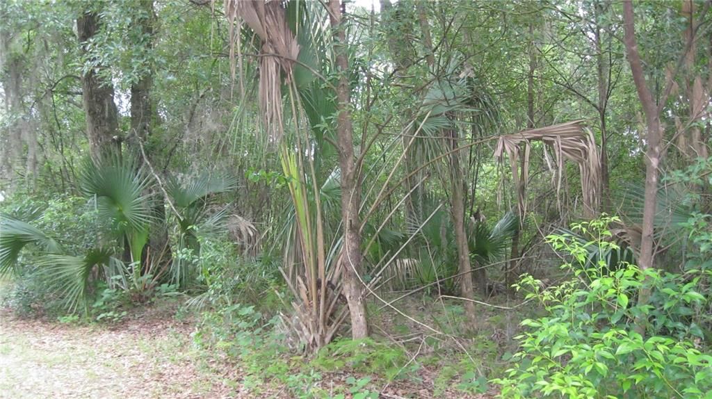 合同活跃: $219,900 (2.50 acres)