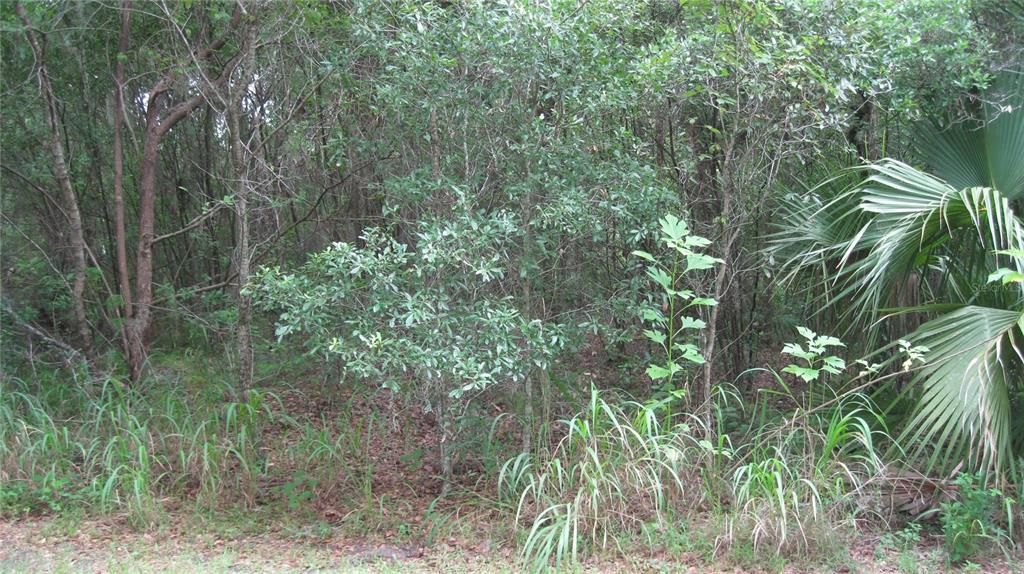 合同活跃: $219,900 (2.50 acres)