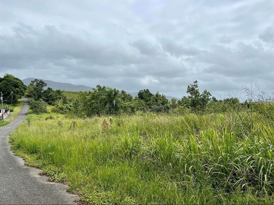 For Sale: $260,000 (20.84 acres)