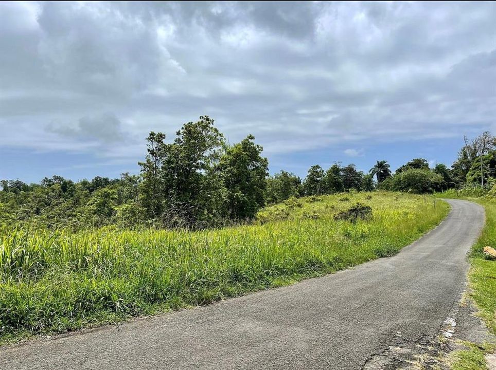 For Sale: $260,000 (20.84 acres)