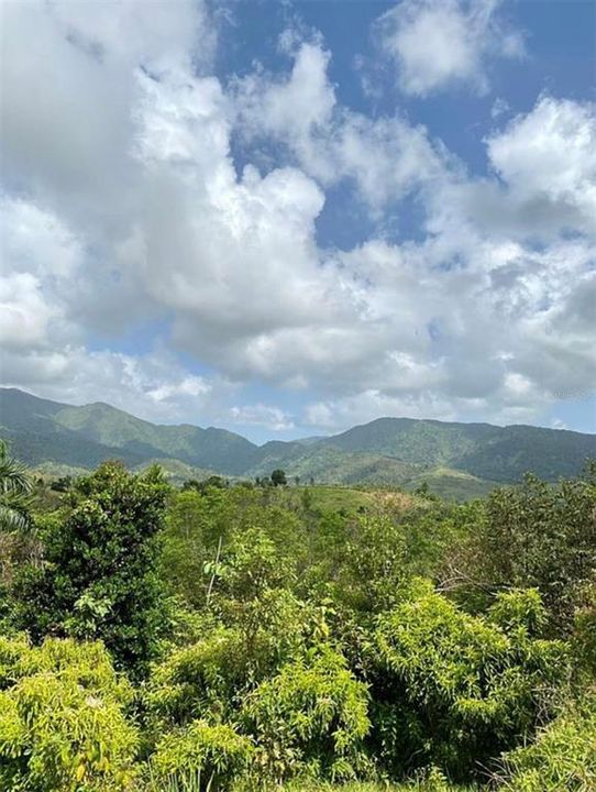 For Sale: $260,000 (20.84 acres)