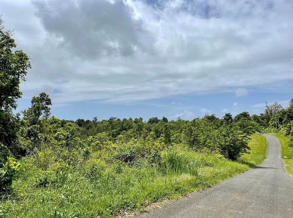 For Sale: $260,000 (20.84 acres)