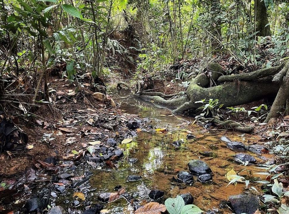 For Sale: $260,000 (20.84 acres)