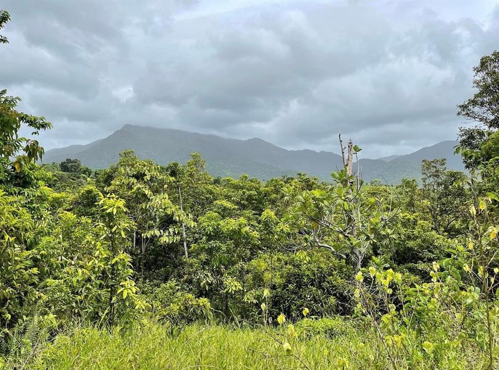 For Sale: $260,000 (20.84 acres)