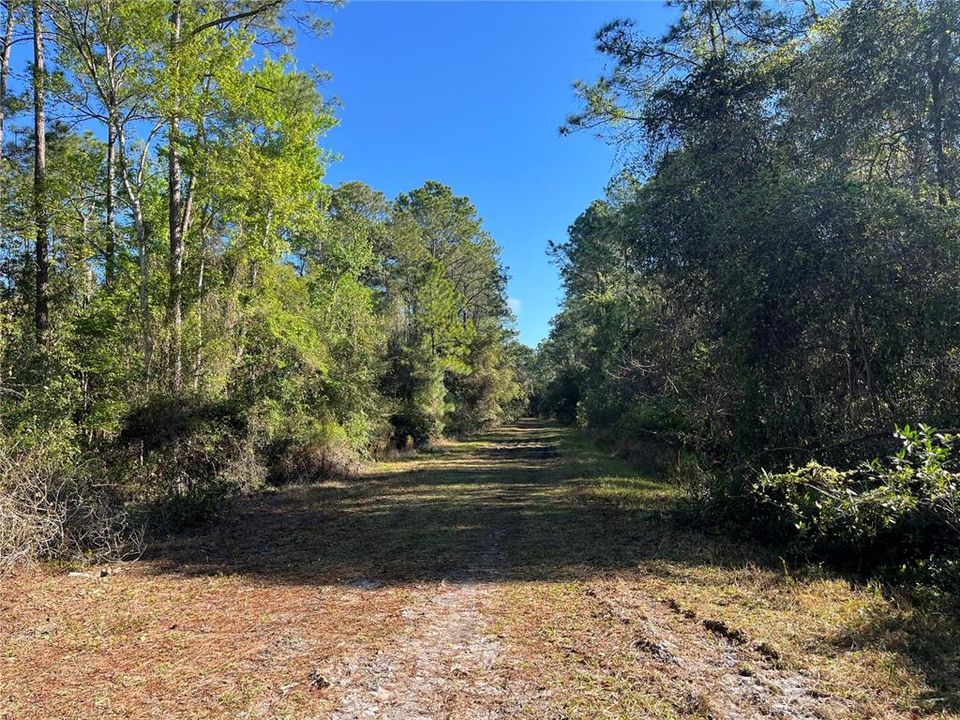 На продажу: $10,800 (0.69 acres)