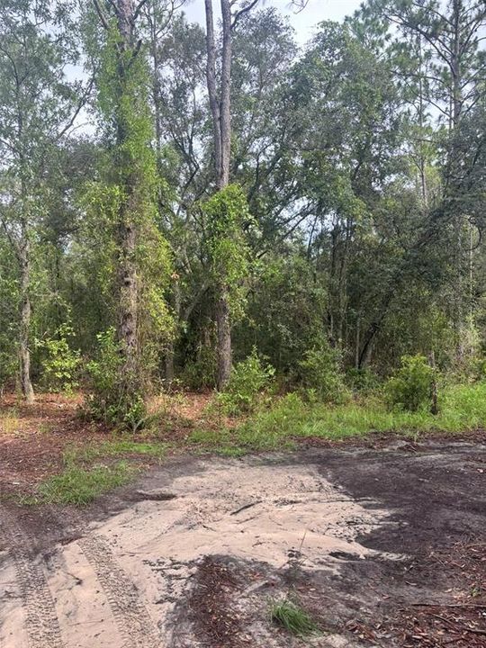 Vendido Recientemente: $20,000 (1.25 acres)