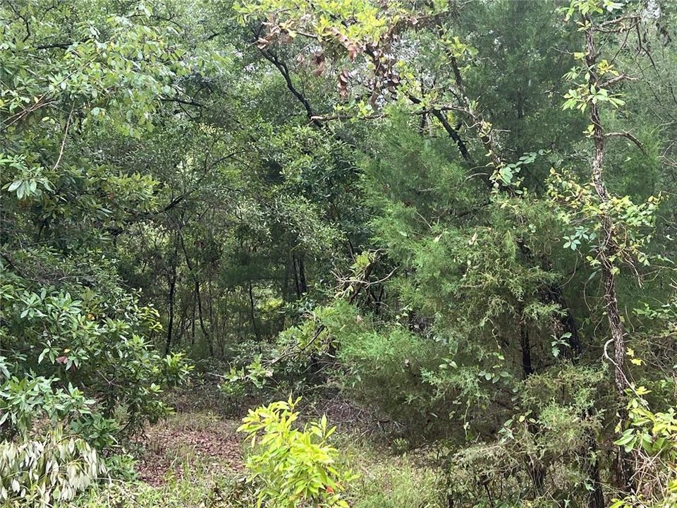 最近售出: $105,000 (12.00 acres)