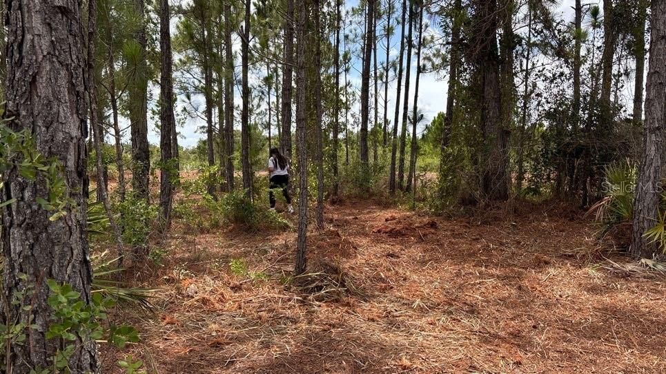 For Sale: $38,000 (1.25 acres)