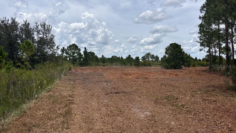 For Sale: $38,000 (1.25 acres)