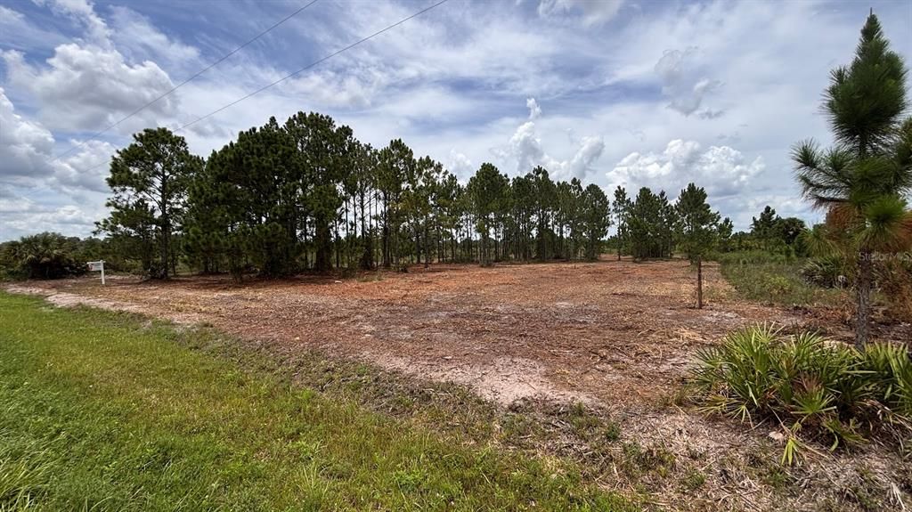 For Sale: $38,000 (1.25 acres)