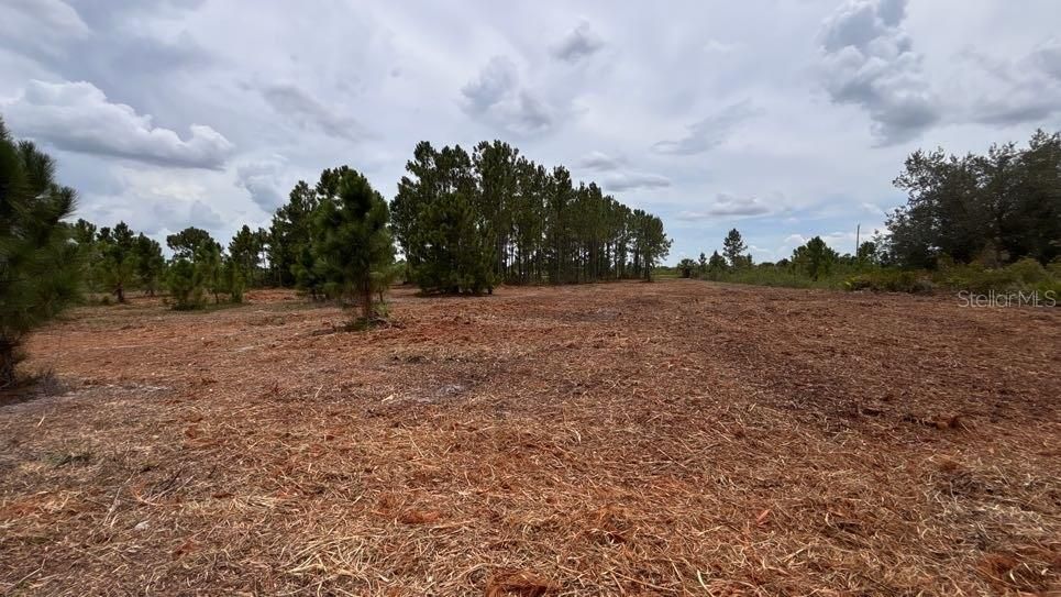 For Sale: $38,000 (1.25 acres)