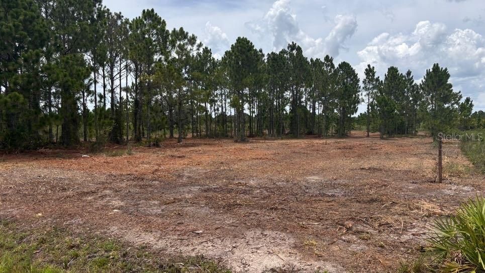 For Sale: $38,000 (1.25 acres)