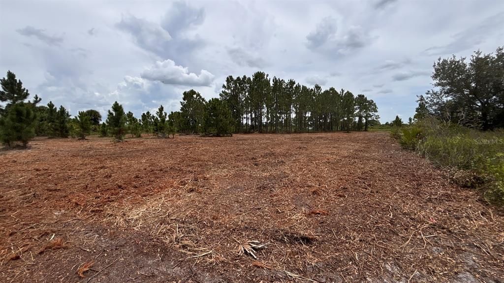 For Sale: $38,000 (1.25 acres)