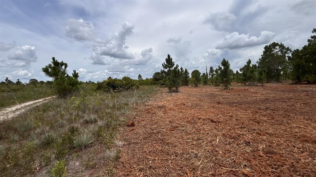 For Sale: $38,000 (1.25 acres)