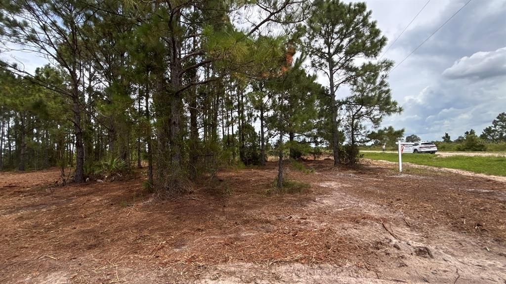 For Sale: $38,000 (1.25 acres)