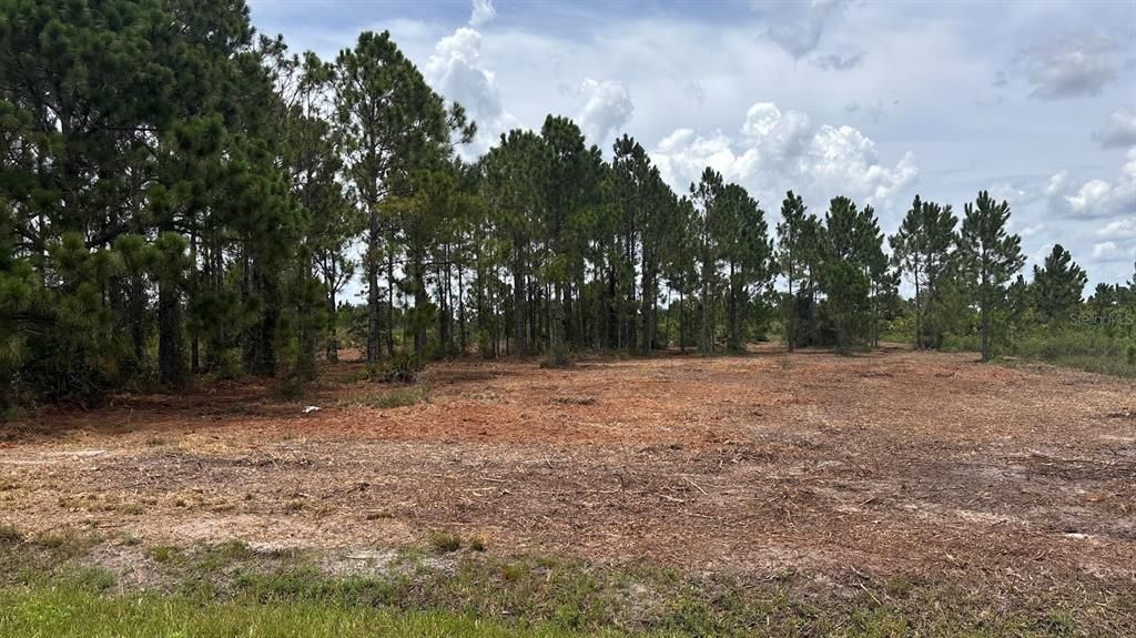 For Sale: $38,000 (1.25 acres)