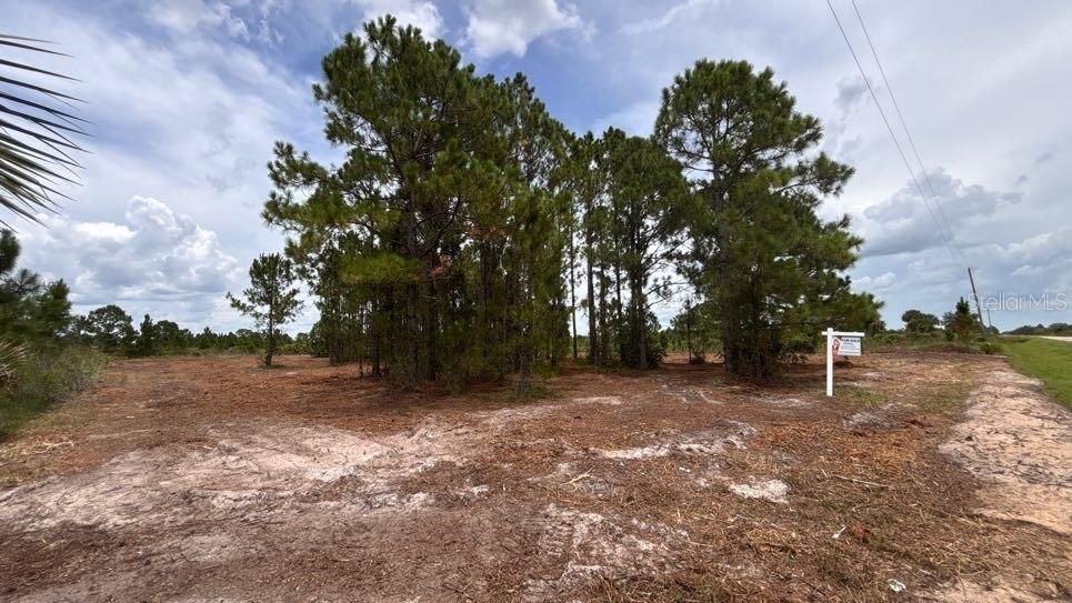 For Sale: $38,000 (1.25 acres)