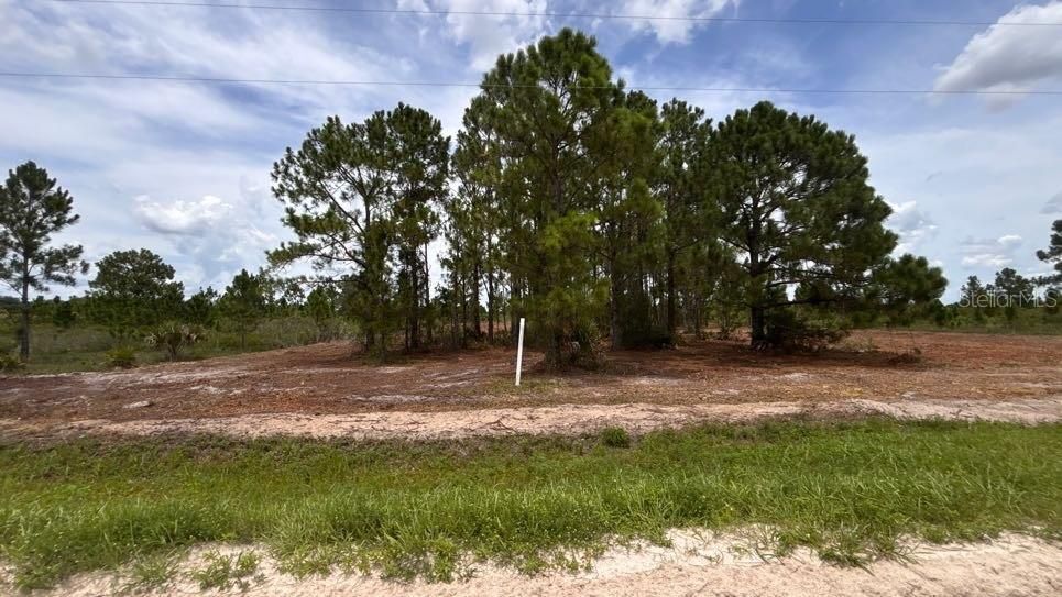 For Sale: $38,000 (1.25 acres)
