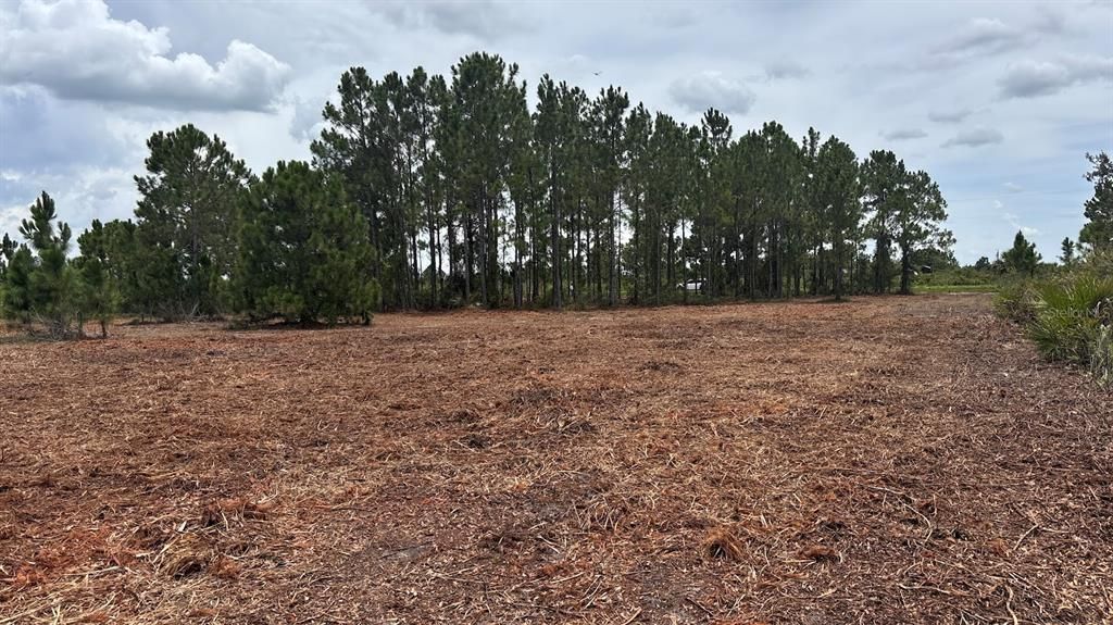 For Sale: $38,000 (1.25 acres)