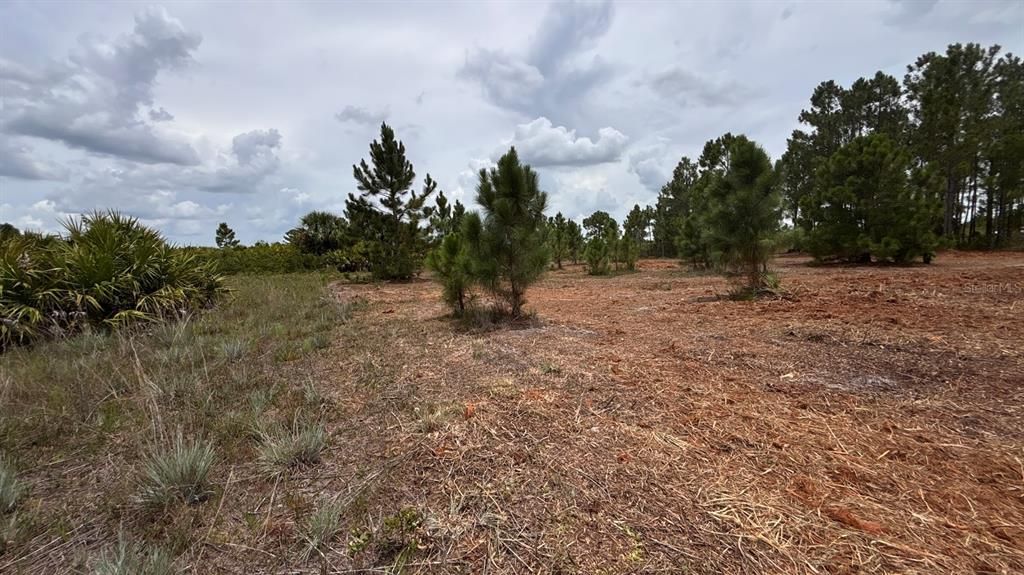 For Sale: $38,000 (1.25 acres)