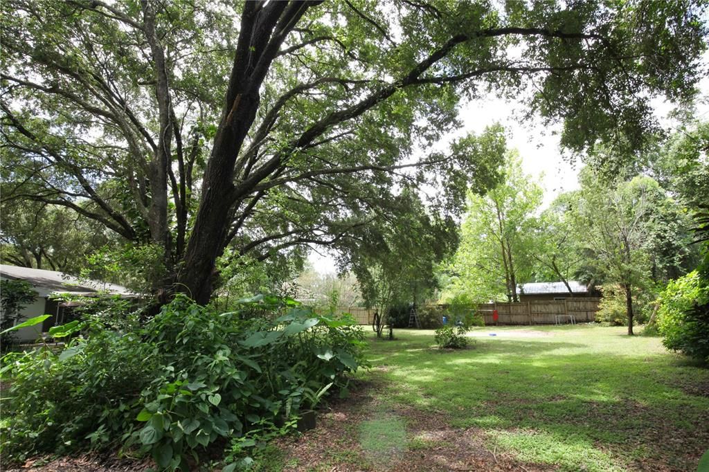 合同活跃: $285,000 (2 贝兹, 2 浴室, 1664 平方英尺)