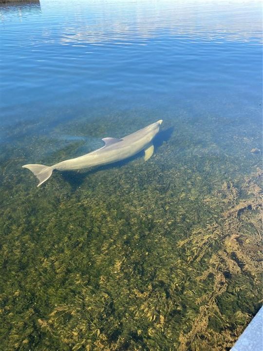 待售: $80,000 (0.09 acres)