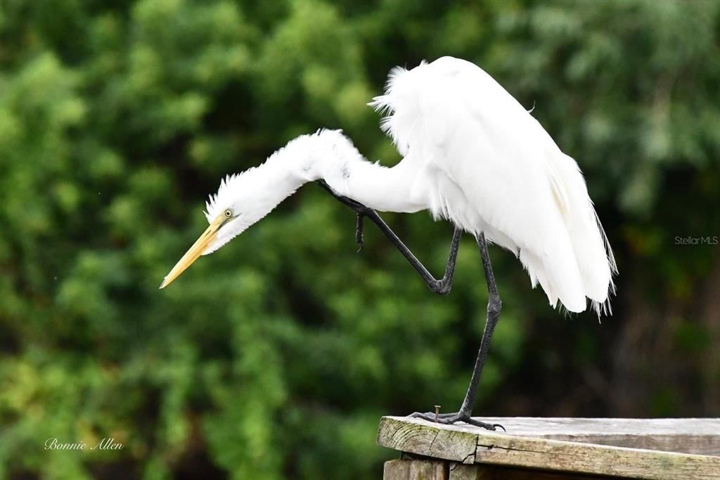 待售: $80,000 (0.09 acres)