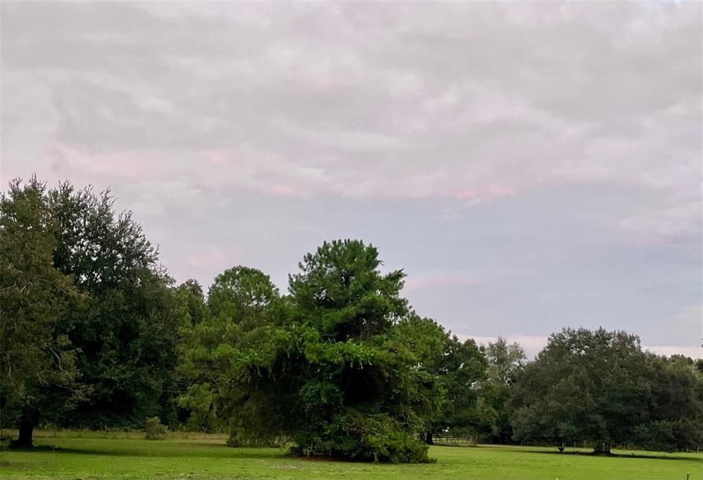 待售: $375,000 (10.00 acres)