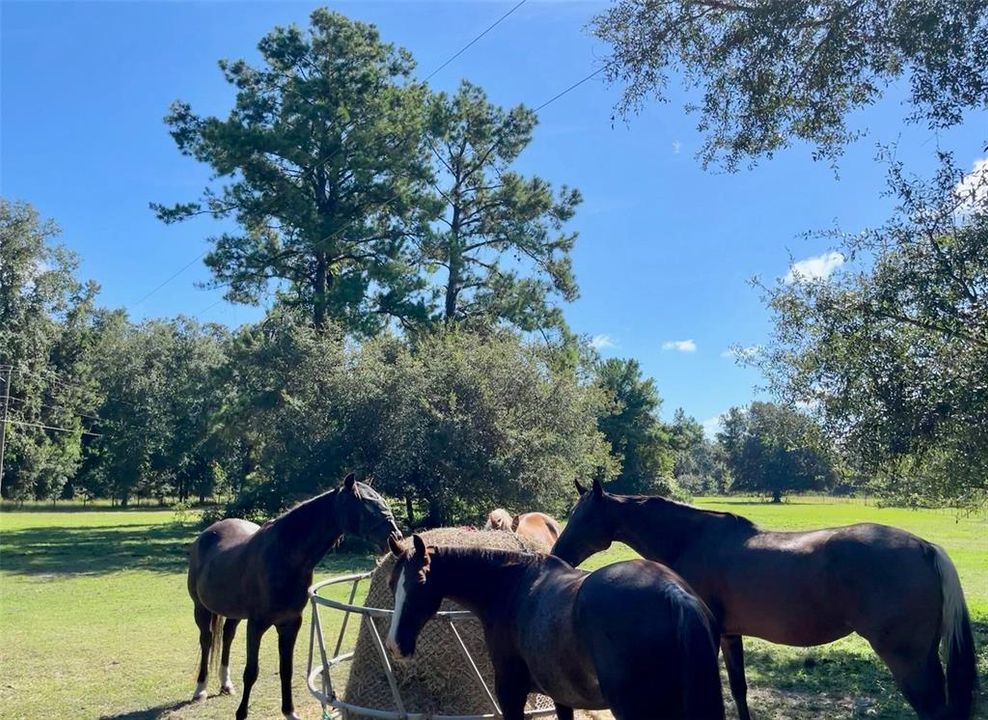 待售: $375,000 (10.00 acres)