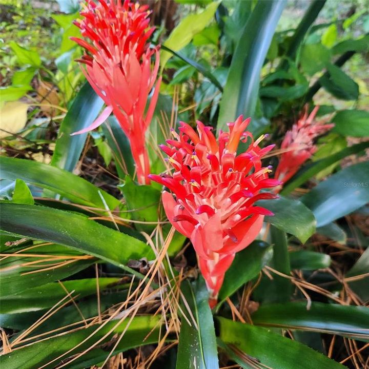 En Venta: $310,000 (3 camas, 2 baños, 1370 Pies cuadrados)