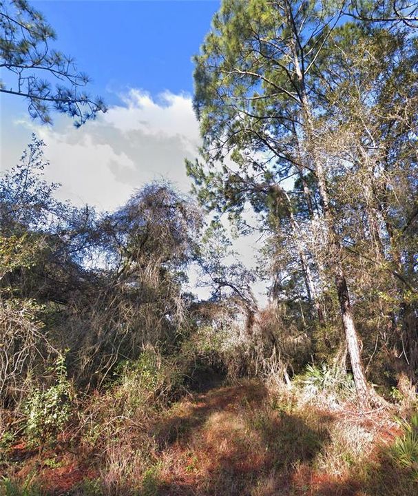 待售: $25,900 (1.16 acres)