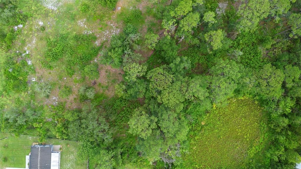 For Sale: $110,000 (3.08 acres)