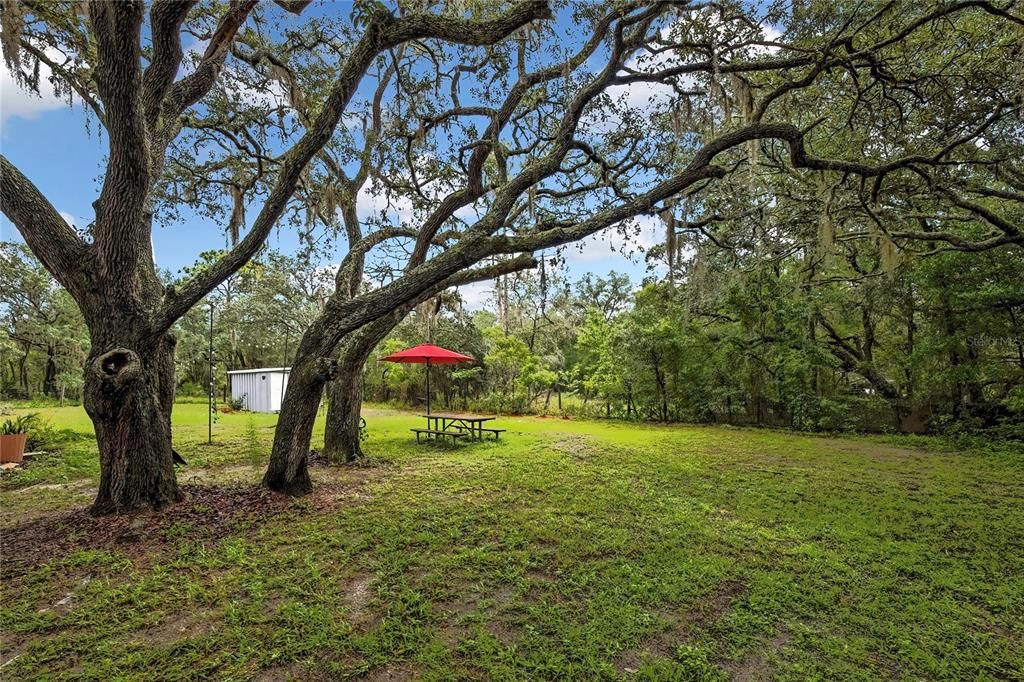 На продажу: $160,000 (2 спален, 2 ванн, 1134 Квадратных фут)