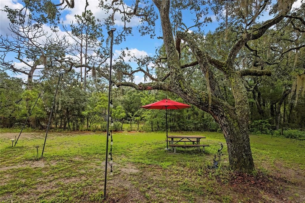 На продажу: $160,000 (2 спален, 2 ванн, 1134 Квадратных фут)