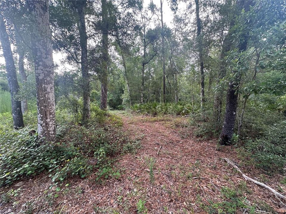 На продажу: $159,000 (2 спален, 1 ванн, 728 Квадратных фут)