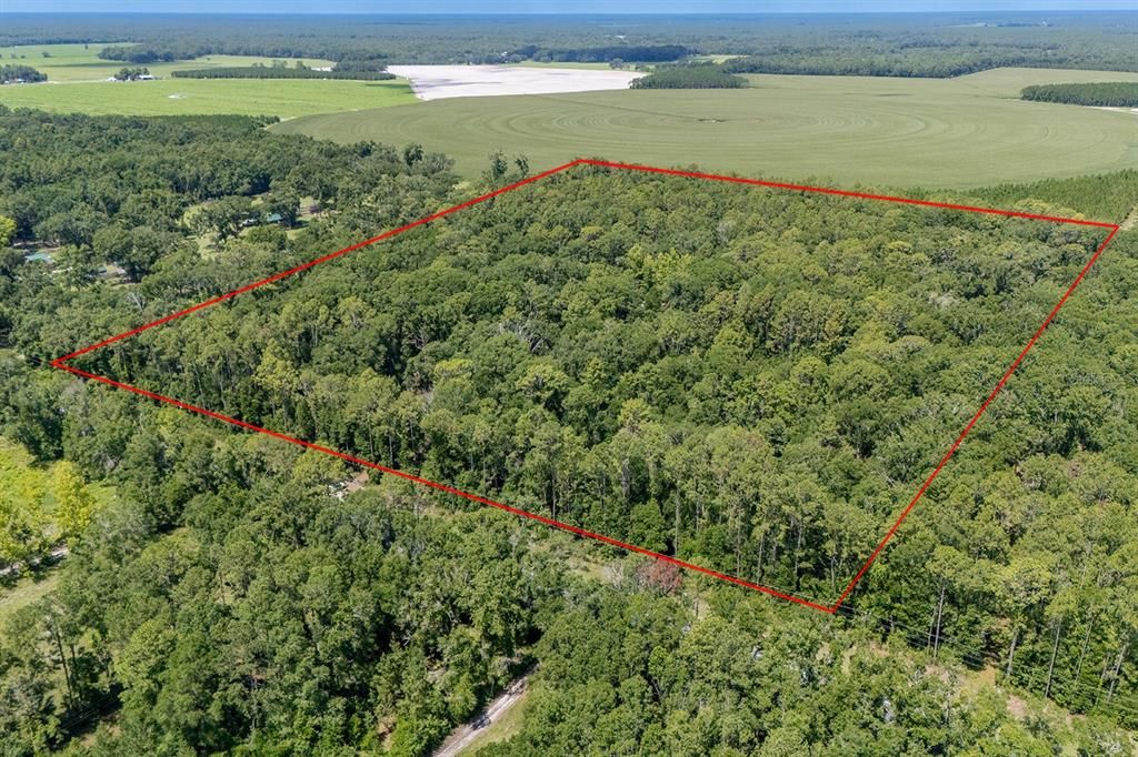 待售: $365,000 (3 贝兹, 2 浴室, 1404 平方英尺)