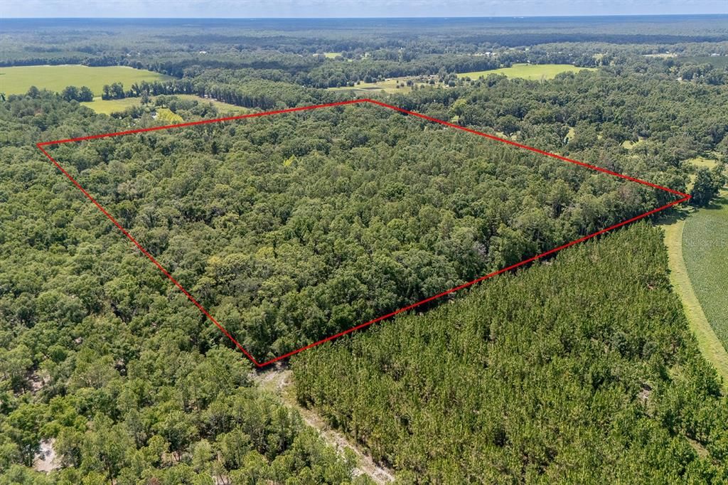 待售: $365,000 (3 贝兹, 2 浴室, 1404 平方英尺)