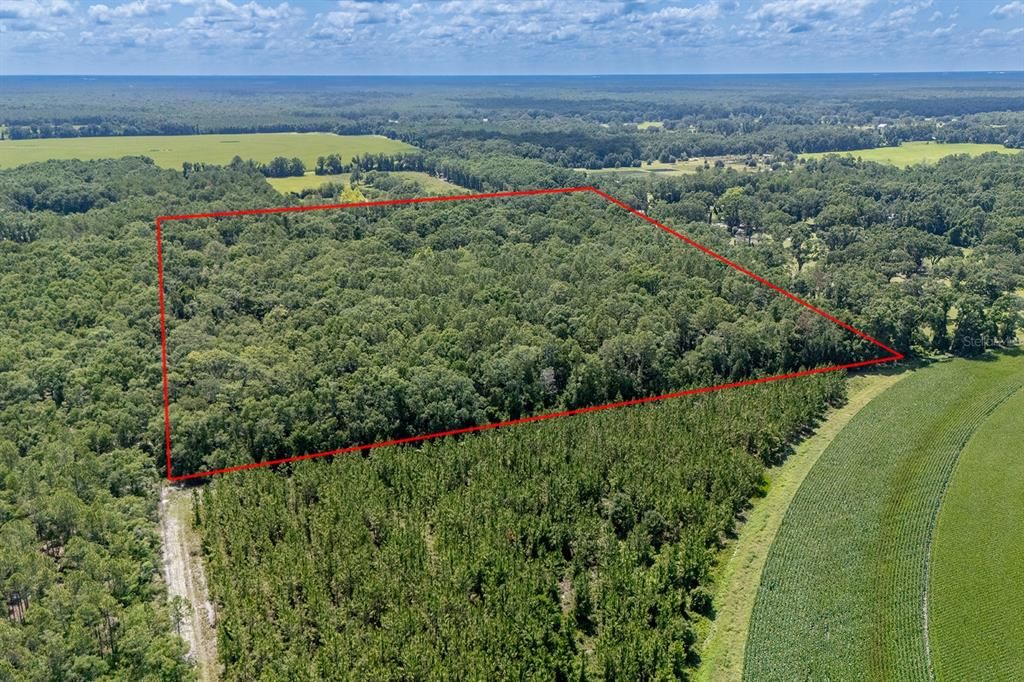 待售: $365,000 (3 贝兹, 2 浴室, 1404 平方英尺)