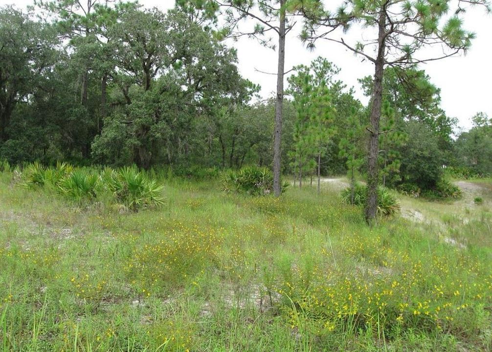 合同活跃: $123,900 (1.66 acres)