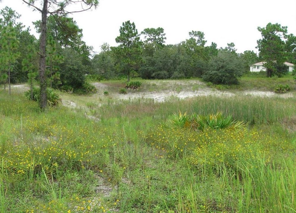 合同活跃: $123,900 (1.66 acres)