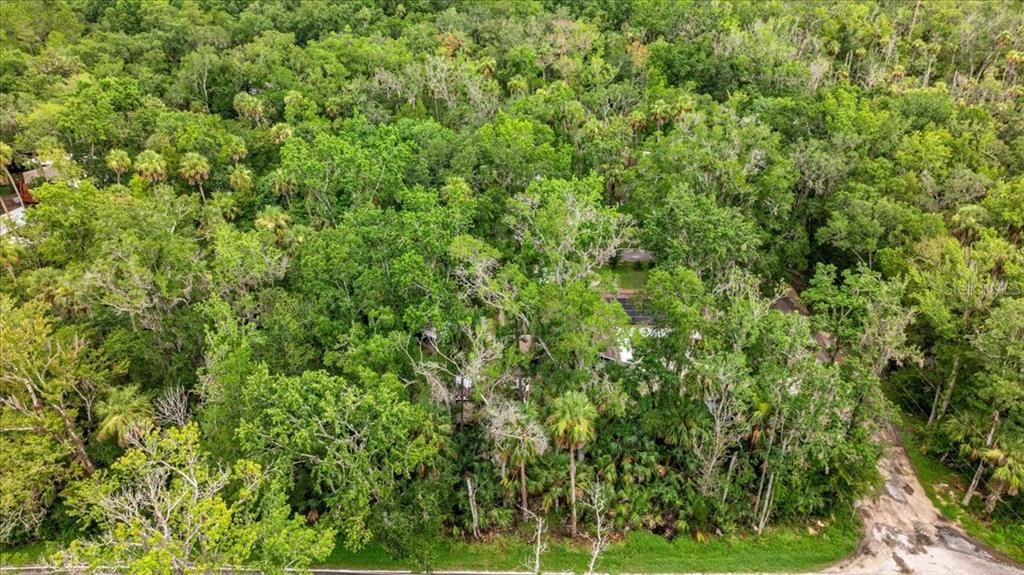 For Sale: $450,000 (3 beds, 2 baths, 1436 Square Feet)