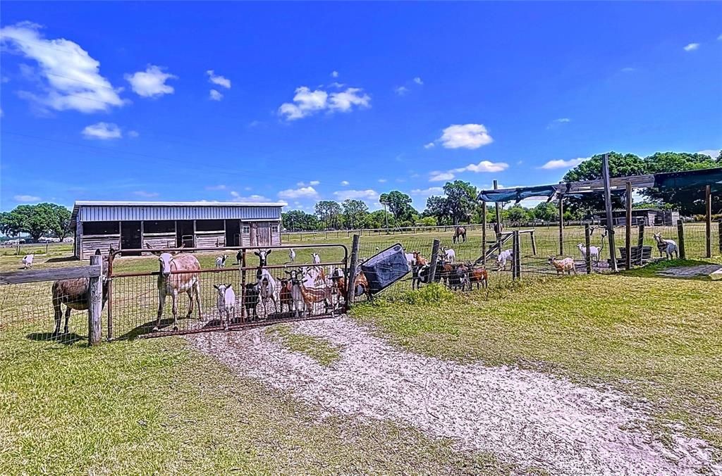 На продажу: $950,000 (4 спален, 4 ванн, 2185 Квадратных фут)